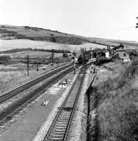 73xxx 1966-67 Maiden Newton SR-ROneg-1311-223