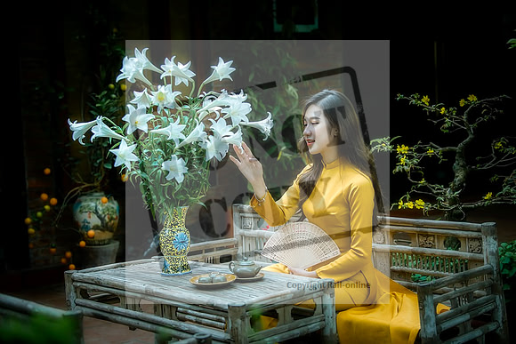 ao-dai-6147436_960_720